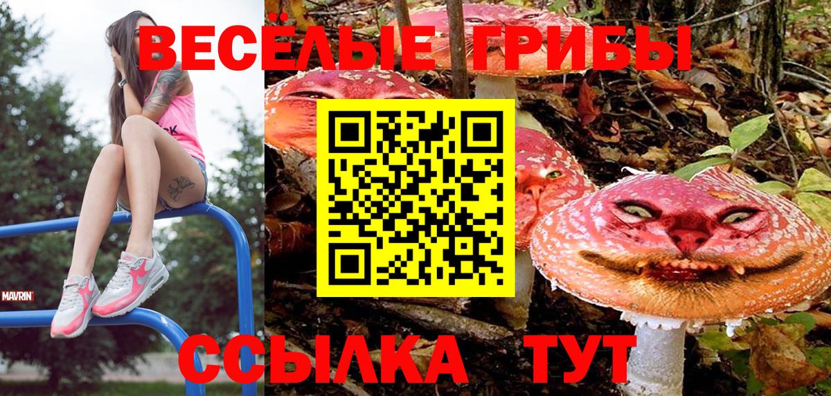 Псилоцибиновые грибы мицелий  Вход с VPN  что такое наркотик  Вязники 