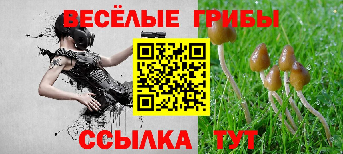 Псилоцибиновые грибы ЛСД Вязники